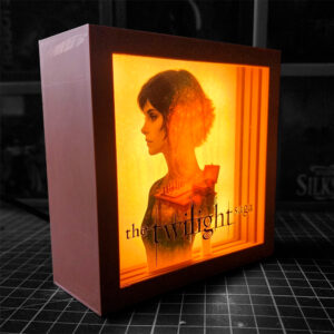 caja luminica escritorio crepusculo